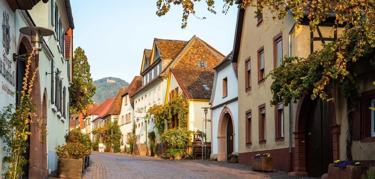 Hotel Rhodter Adler Rhodt unter Rietburg Exteriör bild